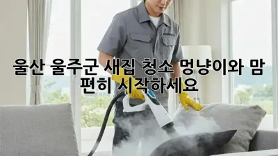 울산 울주군 새집 청소, 멍냥이와 맘 편히 시작하세요! 🏡✨