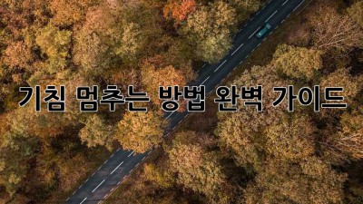 기침 멈추는 방법: 완벽 가이드